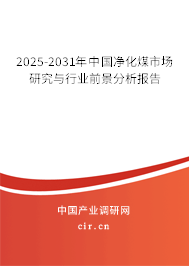 2025-2031年中國凈化煤市場研究與行業前景分析報告