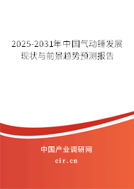 2025-2031年中國氣動錘發展現狀與前景趨勢預測報告