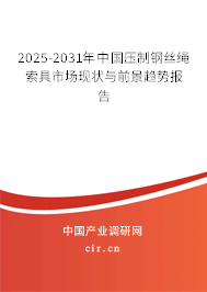 2024-2030年中國壓制鋼絲繩索具市場現狀與前景趨勢報告