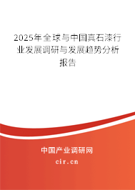 2025年全球與中國真石漆行業發展調研與發展趨勢分析報告