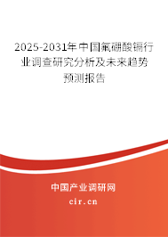 2025-2031年中國氟硼酸鎘行業調查研究分析及未來趨勢預測報告