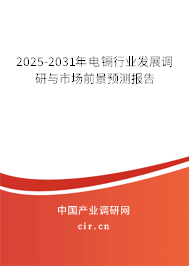 2025-2031年電鎘行業發展調研與市場前景預測報告