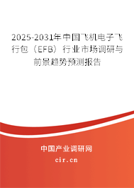 2025-2031年中國飛機電子飛行包（EFB）行業市場調研與前景趨勢預測報告
