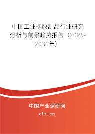 中國工業(yè)橡膠制品行業(yè)研究分析與前景趨勢報(bào)告（2025-2031年）