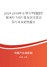2024-2030年全球與中國固定翼渦輪飛機行業發展深度調研與未來趨勢報告