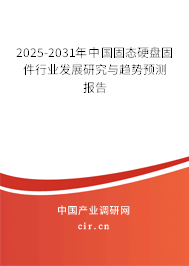 2025-2031年中國固態(tài)硬盤固件行業(yè)發(fā)展研究與趨勢預(yù)測報(bào)告