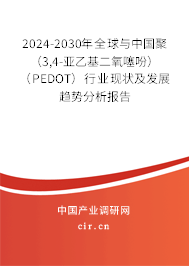 2024-2030年全球與中國聚（3,4-亞乙基二氧噻吩）（PEDOT）行業現狀及發展趨勢分析報告