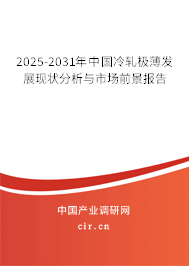 2025-2031年中國冷軋極薄發展現狀分析與市場前景報告