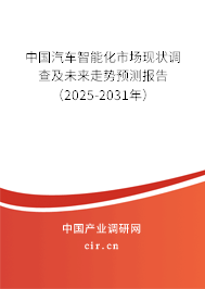 中國汽車智能化市場現(xiàn)狀調查及未來走勢預測報告（2025-2031年）