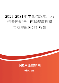 2025-2031年中國燃煤電廠汞污染控制行業(yè)現(xiàn)狀深度調(diào)研與發(fā)展趨勢分析報告