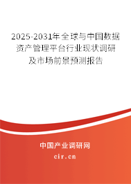 2025-2031年全球與中國數據資產管理平臺行業現狀調研及市場前景預測報告