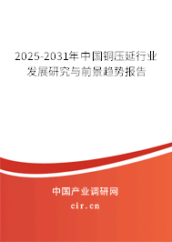2025-2031年中國銅壓延行業發展研究與前景趨勢報告