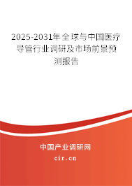 2025-2031年全球與中國醫療導管行業調研及市場前景預測報告