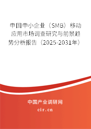 中國中小企業（SMB）移動應用市場調查研究與前景趨勢分析報告（2025-2031年）