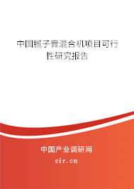 中國(guó)膩?zhàn)痈嗷旌蠙C(jī)項(xiàng)目可行性研究報(bào)告