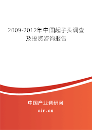 2009-2012年中國起子頭調查及投資咨詢報告