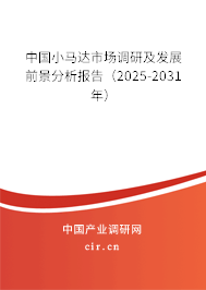 中國小馬達(dá)市場調(diào)研及發(fā)展前景分析報告（2025-2031年）