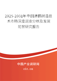 2025-2031年中國進模制造技術市場深度調查分析及發(fā)展前景研究報告