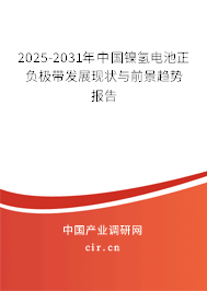 2025-2031年中國鎳氫電池正負(fù)極帶發(fā)展現(xiàn)狀與前景趨勢報(bào)告