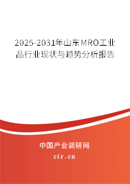 2025-2031年山東MRO工業品行業現狀與趨勢分析報告