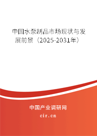 中國水泵制品市場現狀與發展前景（2025-2031年）