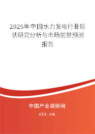 2025年中國水力發電行業現狀研究分析與市場前景預測報告 2025年中國水力發電行業現狀研究分析與市場前景預測報告