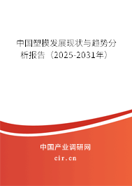 中國(guó)塑模發(fā)展現(xiàn)狀與趨勢(shì)分析報(bào)告（2025-2031年）