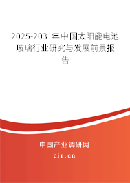 2025-2031年中國(guó)太陽(yáng)能電池玻璃行業(yè)研究與發(fā)展前景報(bào)告