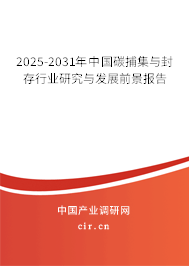 2025-2031年中國(guó)碳捕集與封存行業(yè)研究與發(fā)展前景報(bào)告