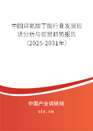 中國異氰酸丁酯行業發展現狀分析與前景趨勢報告（2025-2031年）