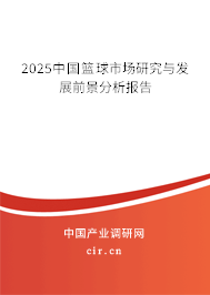 2025中國籃球市場研究與發展前景分析報告