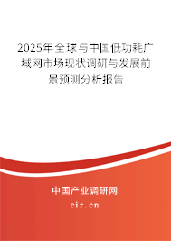 2024年全球與中國低功耗廣域網市場現狀調研與發展前景預測分析報告