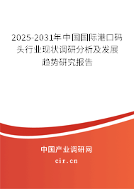 2025-2031年中國國際港口碼頭行業現狀調研分析及發展趨勢研究報告