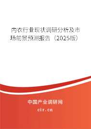 內衣行業現狀調研分析及市場前景預測報告(2025版) 內衣行業現狀調研分析及市場前景預測報告(2025版)
