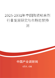 2025-2031年中國陶瓷粘合劑行業發展研究與市場前景預測