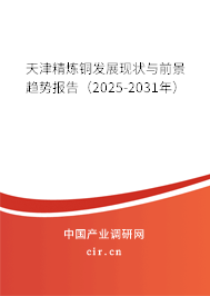 天津精煉銅發展現狀與前景趨勢報告（2025-2031年）
