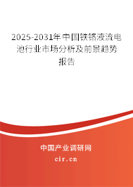 2025-2031年中國鐵鉻液流電池行業市場分析及前景趨勢報告