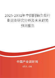 2025-2031年中國同軸負載行業(yè)調(diào)查研究分析及未來趨勢預(yù)測報告