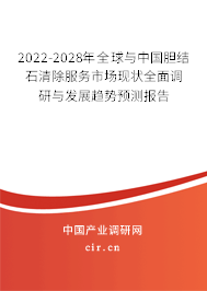 2022-2028年全球與中國膽結石清除服務市場現狀全面調研與發展趨勢預測報告