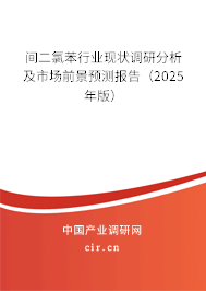 間二氯苯行業現狀調研分析及市場前景預測報告（2024年版）