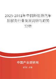 2025-2031年中國新能源汽車后服務行業發展調研與趨勢分析