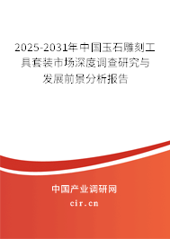 2025-2031年中國玉石雕刻工具套裝市場深度調(diào)查研究與發(fā)展前景分析報告