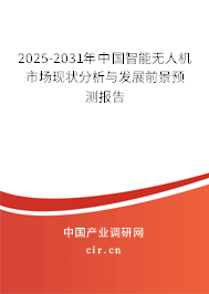 2024-2030年中國智能無人機市場現狀分析與發展前景預測報告