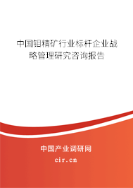 中國鉬精礦行業標桿企業戰略管理研究咨詢報告