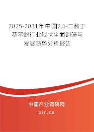 2025-2031年中國2,6-二叔丁基苯酚行業現狀全面調研與發展趨勢分析報告