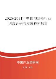 2025-2031年中國地熱能行業(yè)深度調(diào)研與發(fā)展趨勢報告