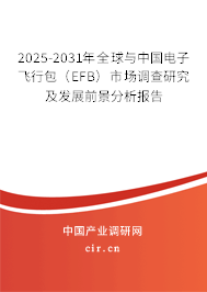 2025-2031年全球與中國電子飛行包（EFB）市場調查研究及發展前景分析報告
