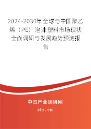 2024-2030年全球與中國聚乙烯（PE）泡沫塑料市場現狀全面調研與發展趨勢預測報告