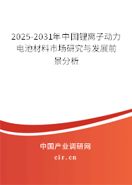 2025-2031年中國鋰離子動力電池材料市場研究與發展前景分析