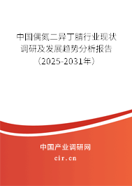 中國偶氮二異丁腈行業現狀調研及發展趨勢分析報告（2025-2031年）